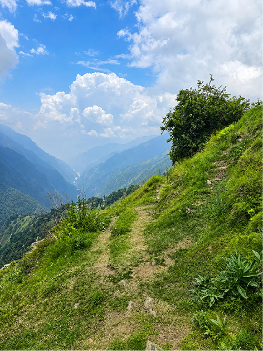 Narrow trail along a green Himalayan ridge