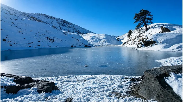 A frozen high-altitude lake under snow-covered slopes with a lone tree on the shore