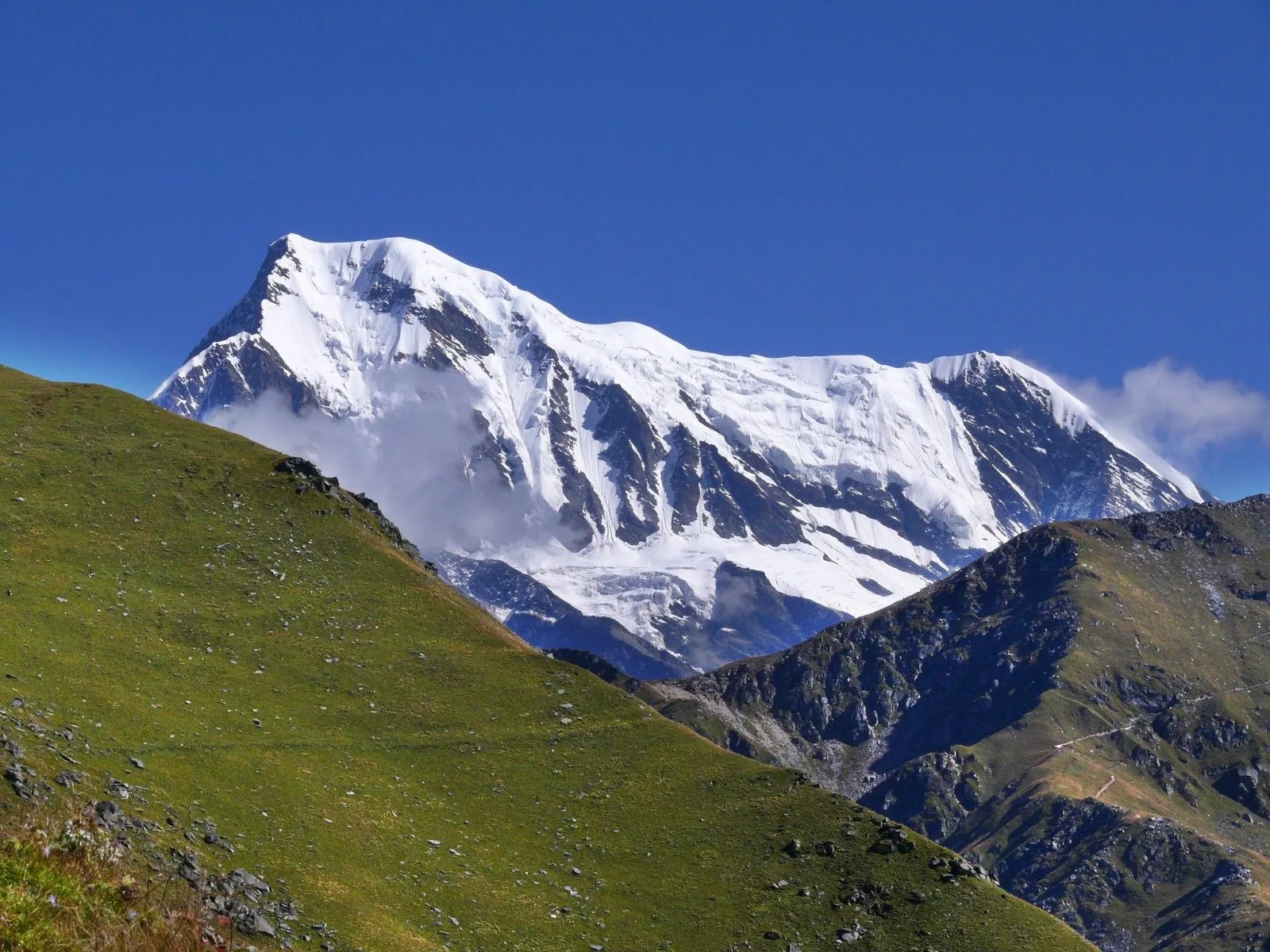 A green grass slope in the foreground below a large snow and ice face filling the sky beyond