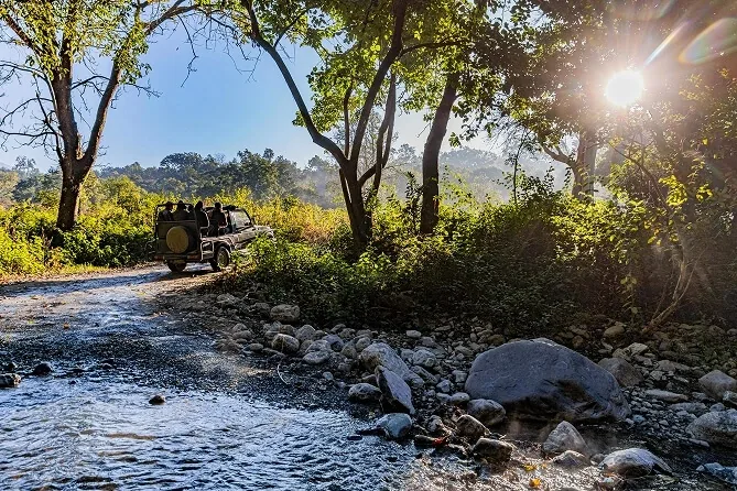 A safari jeep on a forest track crossing a shallow stream