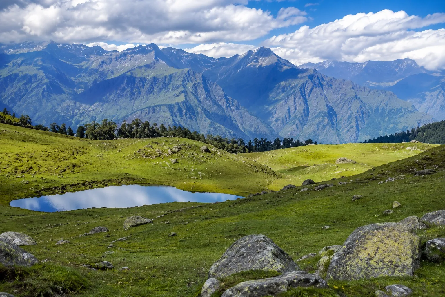 A rolling green alpine meadow with a small still tarn and scattered boulders, a fringe of conifers at the treeline and a long ridge wall behind under cumulus