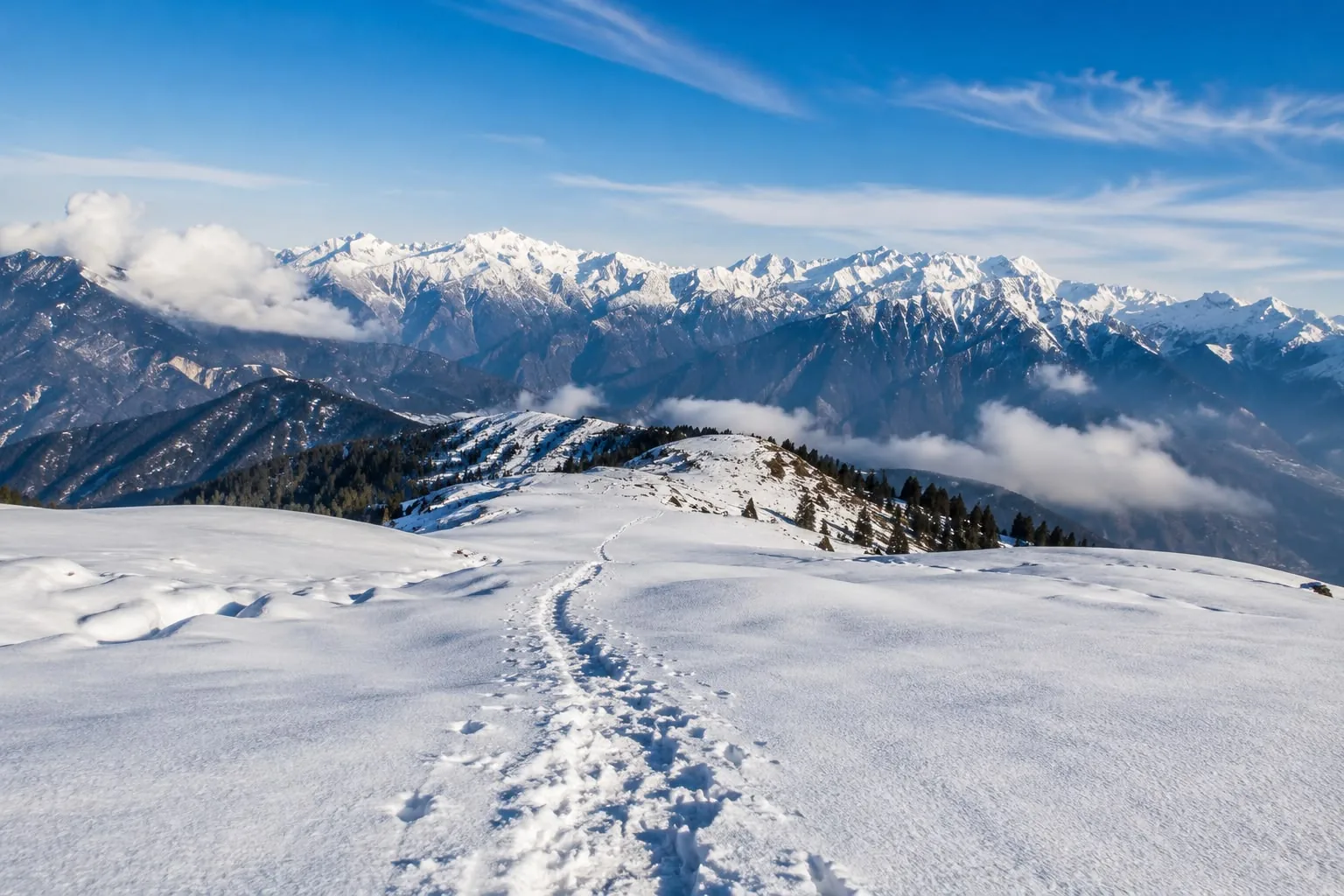 A single boot-trodden trail crossing deep snow along a rounded ridge, conifers half buried, a wall of snow peaks spread across the horizon