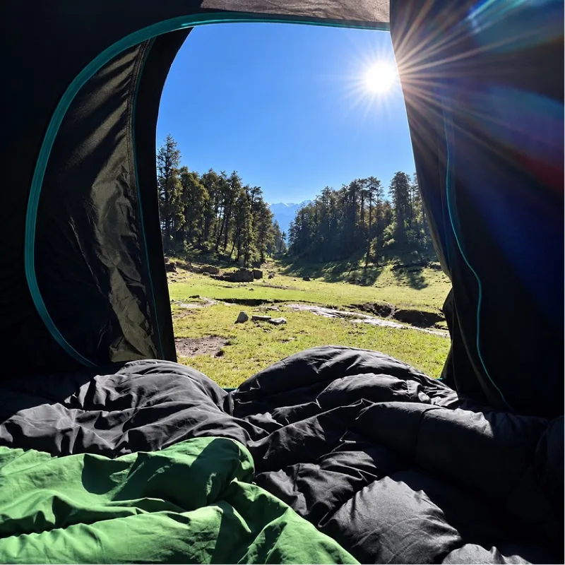 The view out of a tent door across an alpine meadow to pines, sun flaring over the ridge