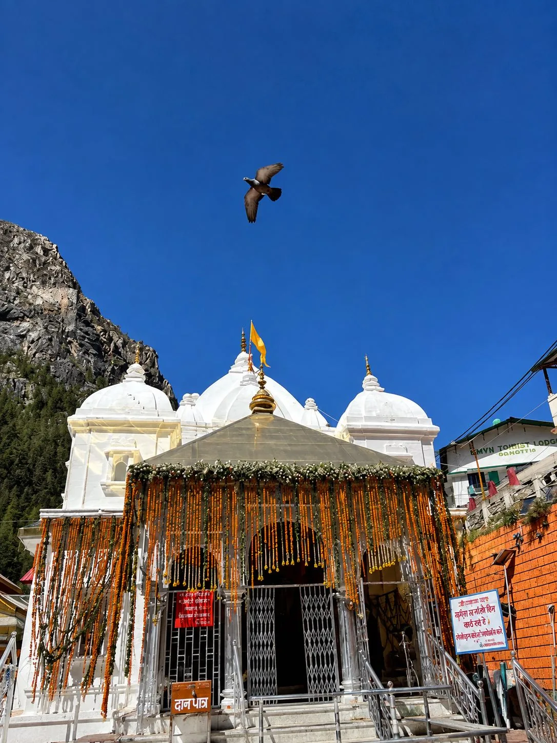 A white multi-spired temple below a canopy hung with long orange marigold garlands, a bird in flight against a deep blue sky and a bare rock crag behind