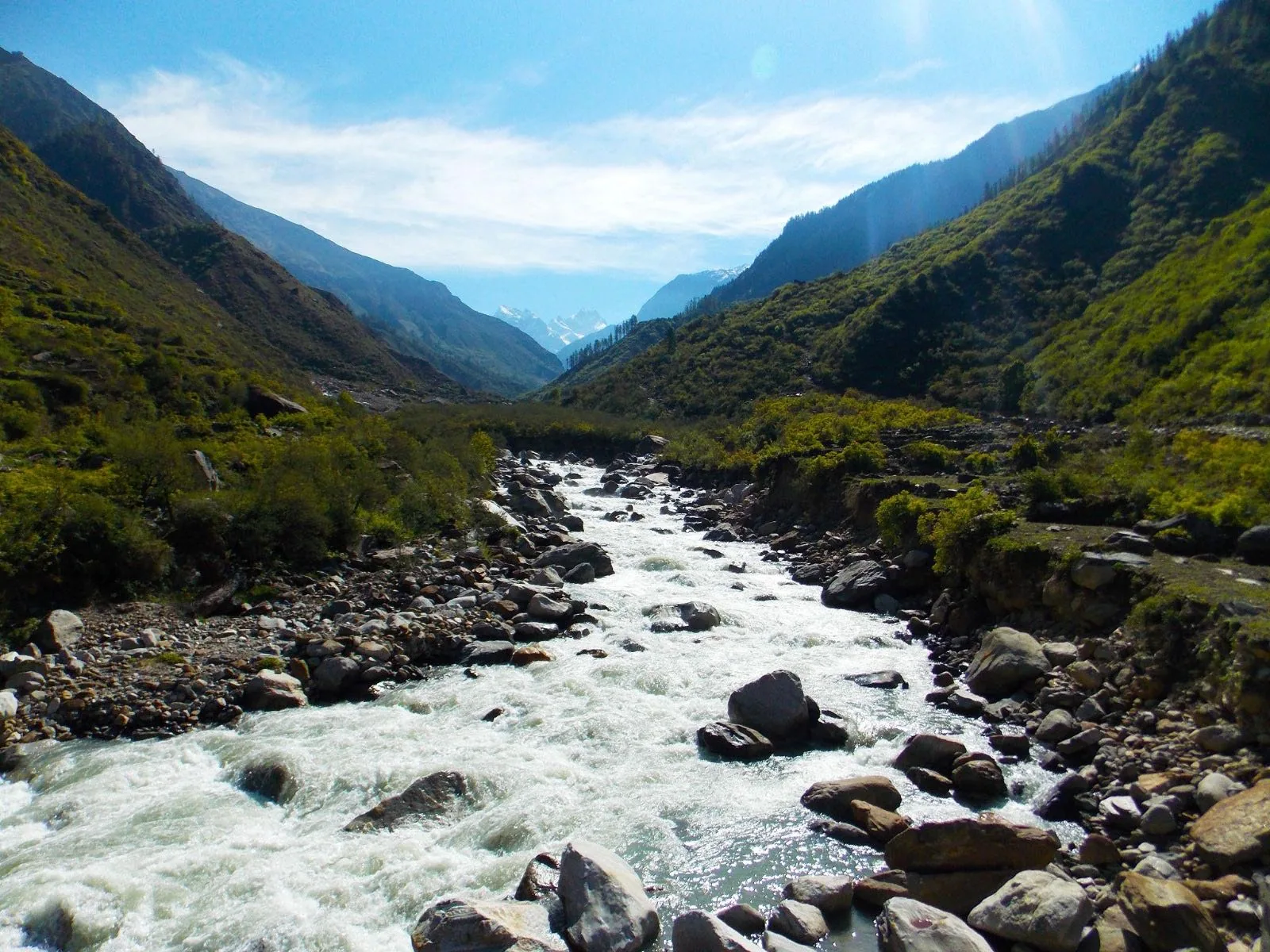 A fast river running over pale boulders between steep green forested walls, snow peaks visible far up the valley