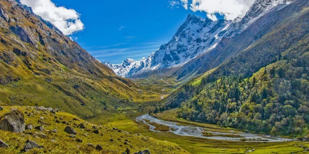A wide view down an autumn valley, gold grass on the floor and a braided river through it, a conifer wall to one side and snow peaks at the head