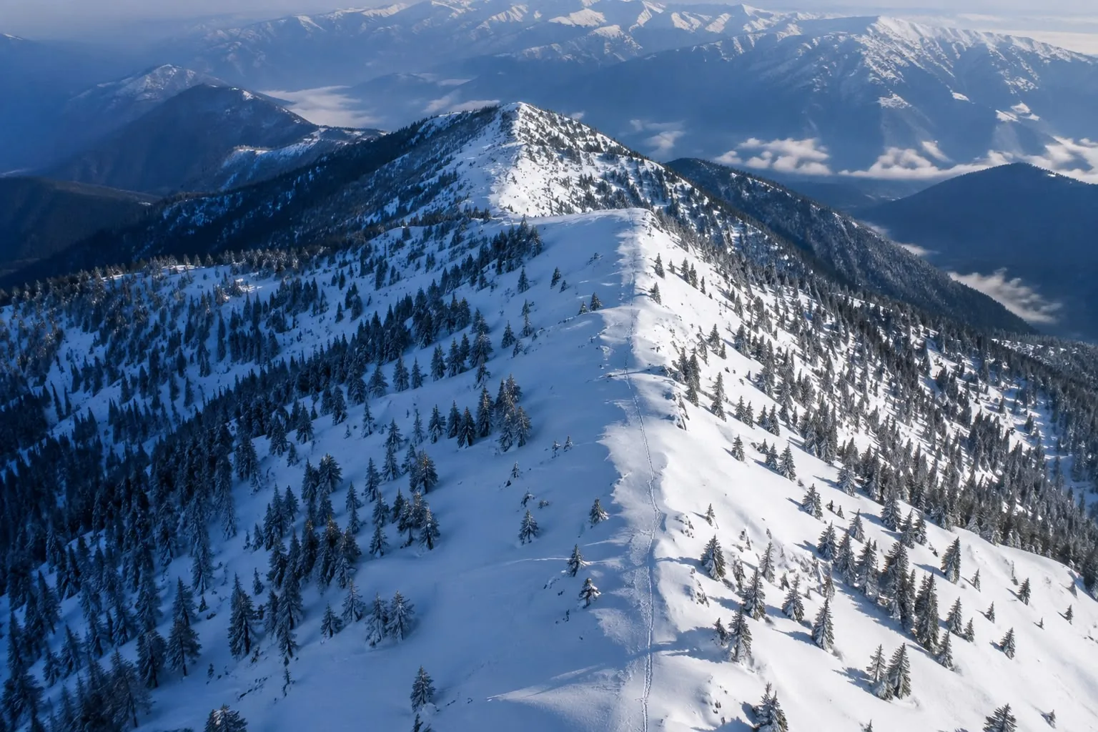An aerial view along a snow-covered ridge, spaced conifers down both flanks and a single boot trail following the crest