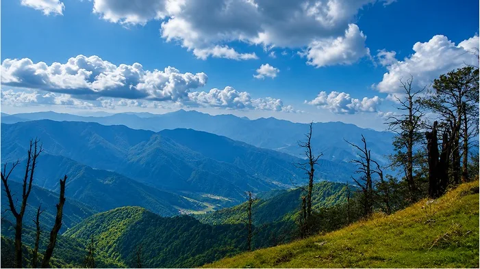 Forested Himalayan ridges receding into haze under a bright cloud-streaked sky