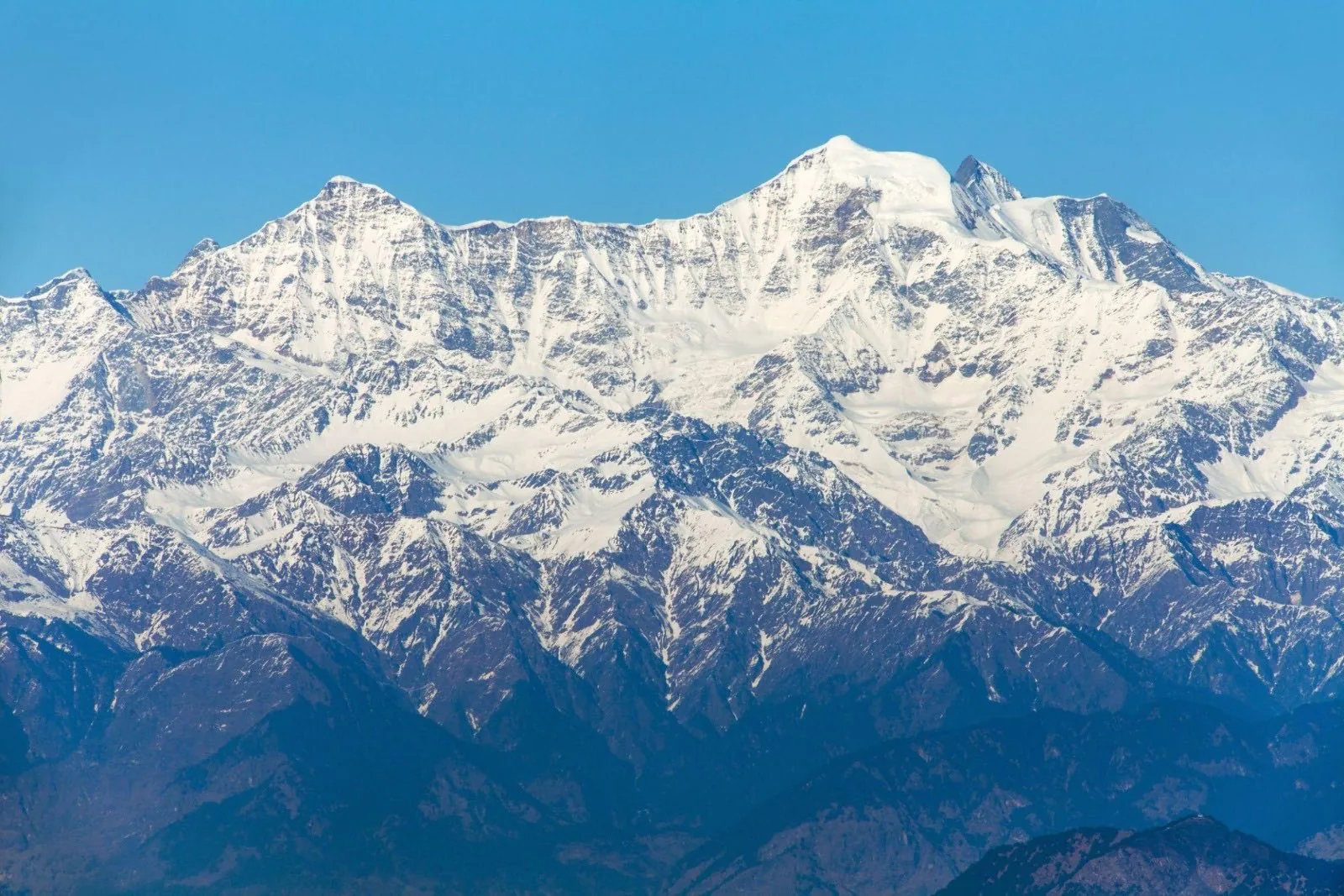 A wall of snow-covered peaks seen close across dark forested foothills under a clear sky