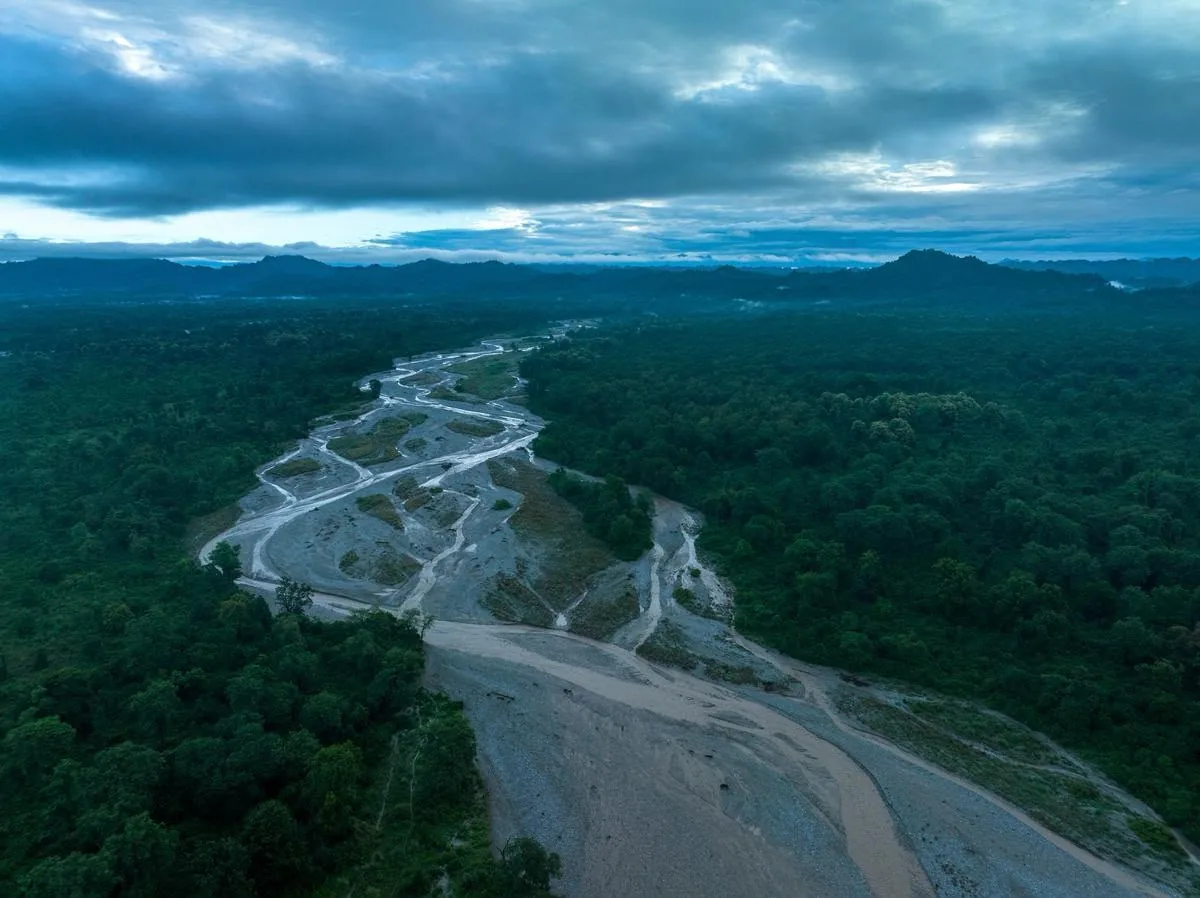 A braided river winding through unbroken forest at dusk, ridgelines fading behind it